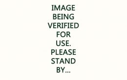 warning about image not being verified for use