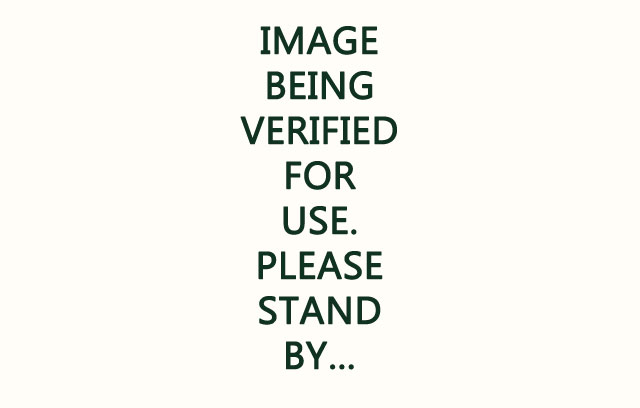 warning about image not being verified for use